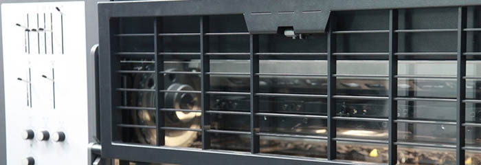 你需要收集哪些图片来建立家谱？(图1)