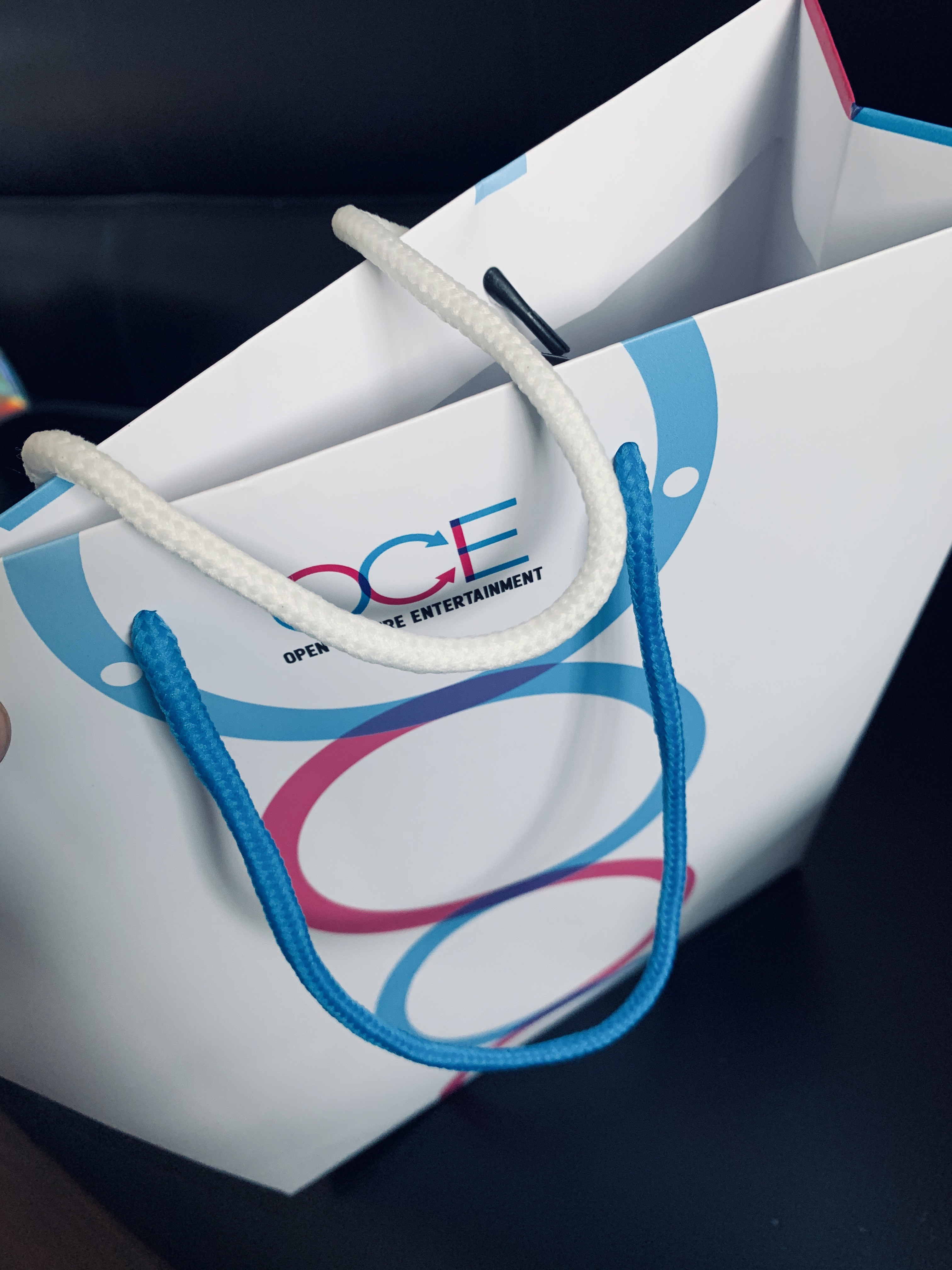 上海印刷品后期加工工艺大全:从普通到惊艳的蜕变(图1) 产品手提袋.jpg